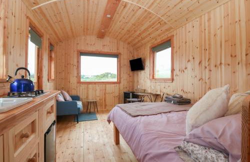 Hafan Gelli Sheperds Hut - Tudwal - Photo 6