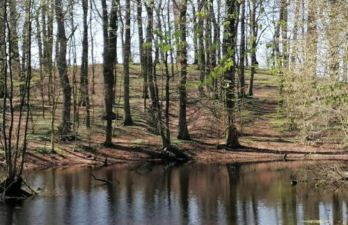 Pałac Paprotno - Foto 58