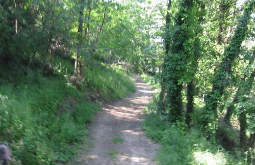 Agriturismo Campagnoletto - Foto 54