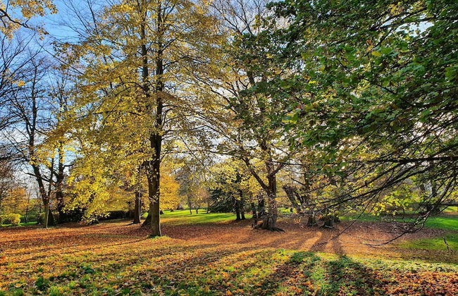 Historic Apartment in Gerdshagen With Garden - Photo 69