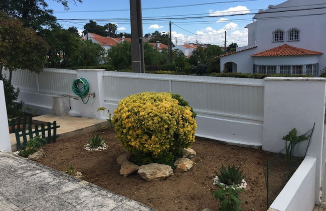 Vila Sao & Pompeia - Photo 34