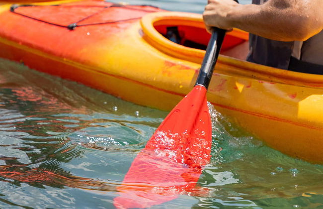 Lake Albano Kayak Tour - Photo 5