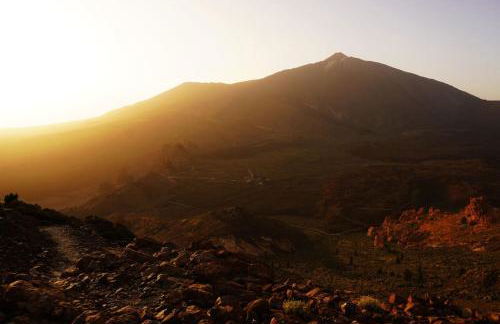 Salva Reina - Foto 54