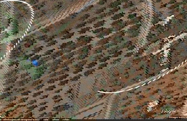 Villa Piana - Con Piscina ed Ampio Giardino Privato - Foto 31