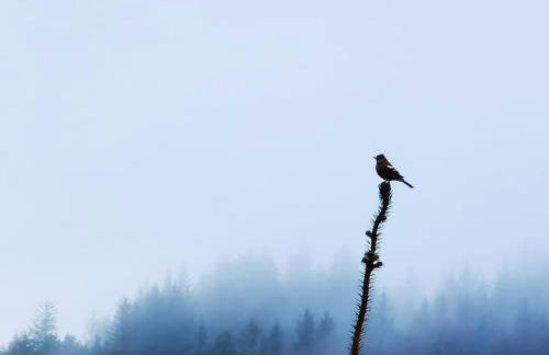 East Lodge, Glenfintaig - Foto 24