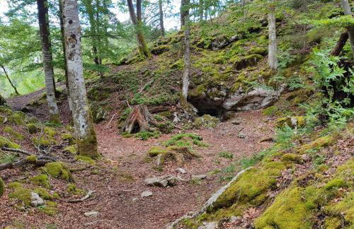 Appartement du Pré Nouveau - Foto 20