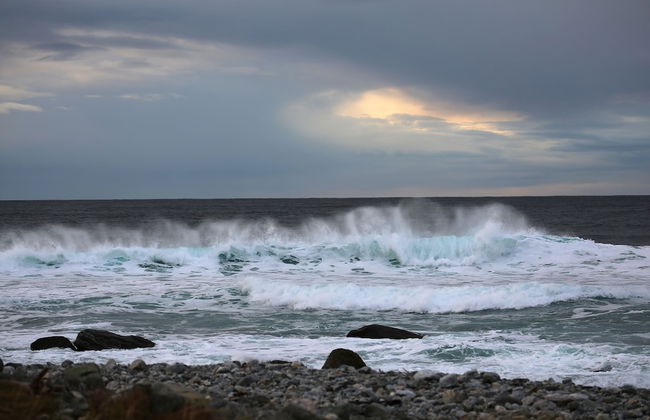 Alnes Gård - Photo 79