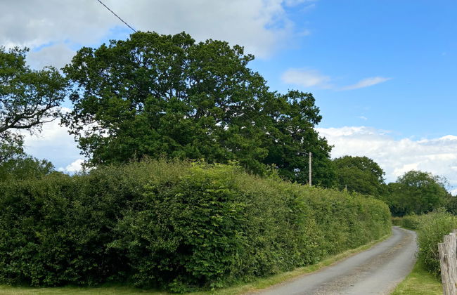 Ash Cottage - Foto 45