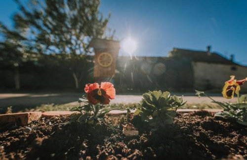 Studio apartman Ivana - Foto 17