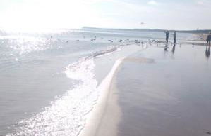 Ferienwohnung mit Terrasse - Insel Usedom - Foto 44