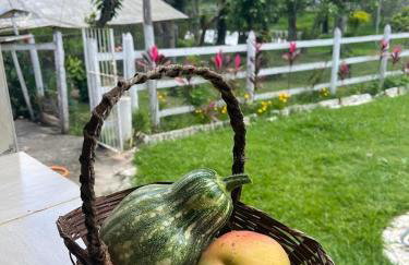 Sítio Veredas Formiga-MG - Foto 18