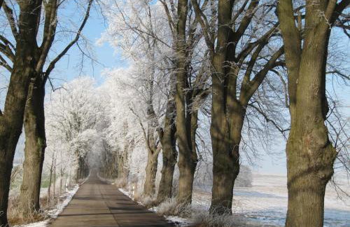 Landhaus Krummin - Foto 55