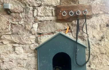 La Ferme des 1000 étangs - Foto 3