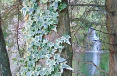 Quinta de Barbêdo - Turismo Rural - Foto 76