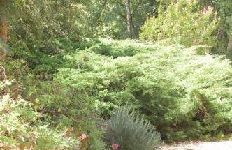 Retour aux sources - Foto 19