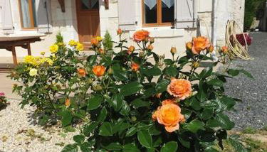 Maison spacieuses - Foto 5