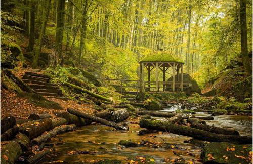 Ferienhaus Korn mitten im schönen Pfälzer Wald, Privat Haus - Foto 11