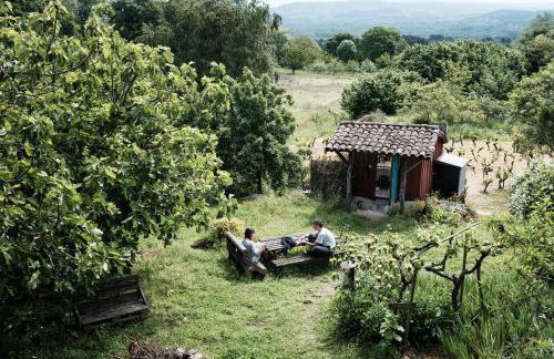 Torre Tanquián Eco Finca - Ribeira Sacra - Foto 2