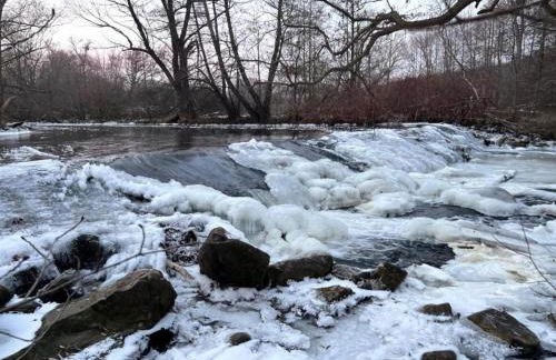 Cinema Comfort in Ballenstedt - Foto 38