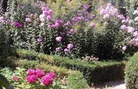 Haselbachstraße 6 - Foto 17