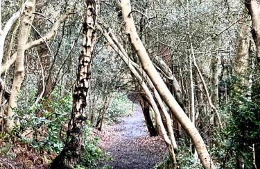 4 St Richard’s Cottages - Foto 16