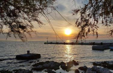 Kuća za odmor Silba - Foto 34