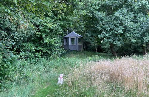 Reetdachhaus am See Ostfriesland - Foto 38