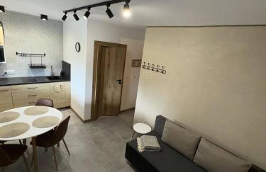 Apart Home Bieszczady - Foto 14