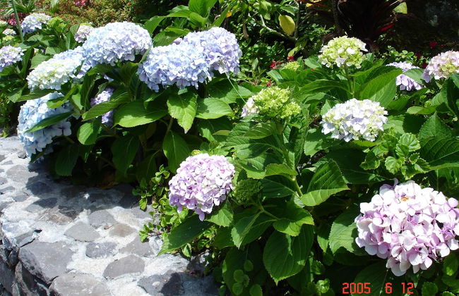 Casa da Capelinha - Foto 64