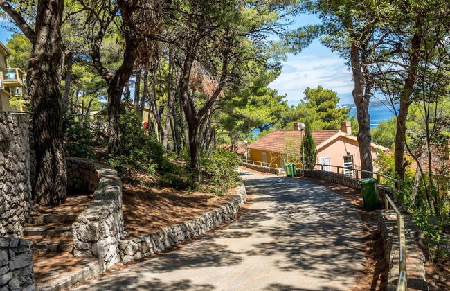 Zelena Punta - Foto 44