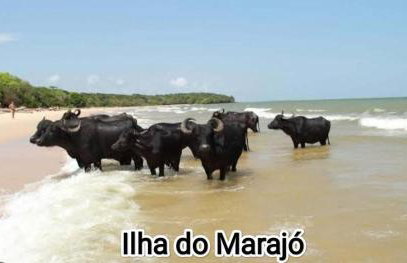 Quarto Marajó 1, próximo ao Aeroporto- cama Casal - Foto 13