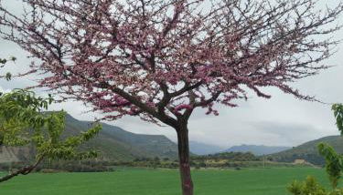 La Casa Del Llano - Foto 3
