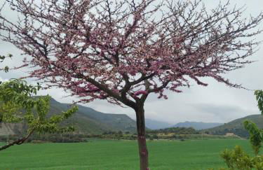 La Casa Del Llano - Foto 3