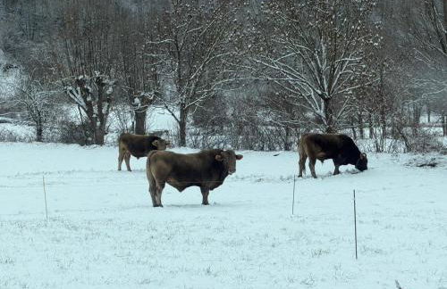 Ático turistico en Durro - La Vall de Boí - Foto 39