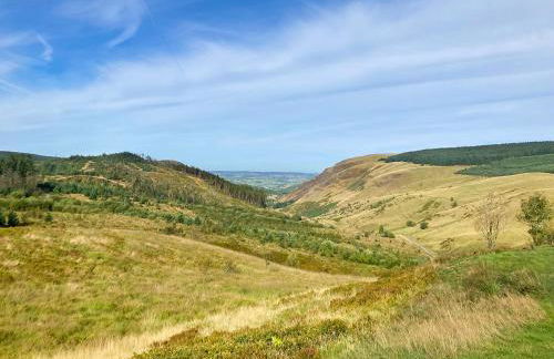 Coedmor Cottages - Foto 69