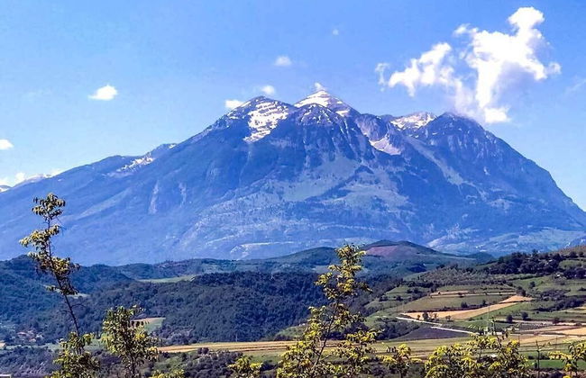 Amalia Hotel - Photo 45