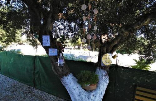 Apartments With Garden View, Creta, Ierapetra - Foto 21