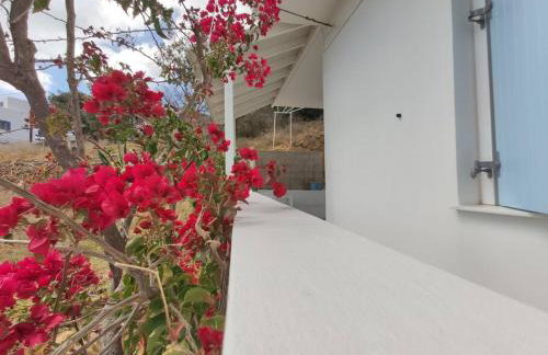 Village View House - Foto 30