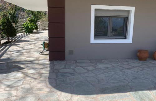 Konstantakos Michail - Photo 10