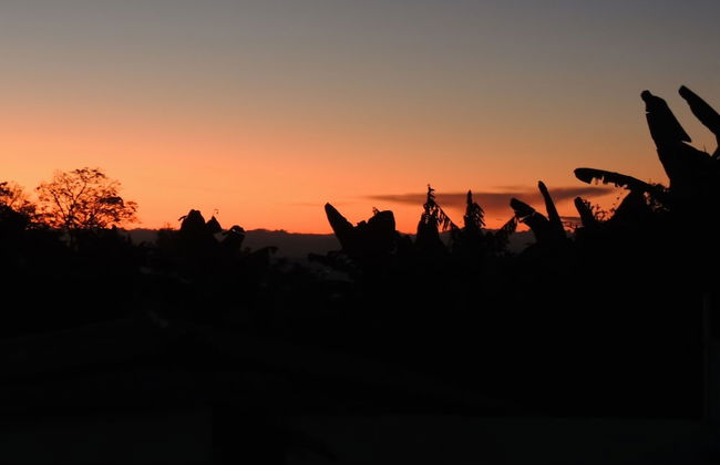 Entre Guaduas - Foto 42