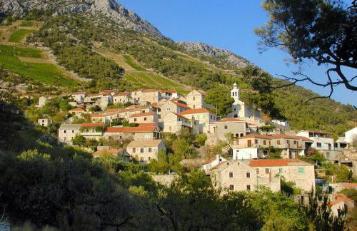 Apartmani Marija - Foto 31