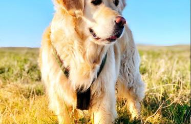 Taun Hövt - Foto 38