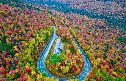 Minutes to Downtown & National Forest Ash Lodge - Foto 48