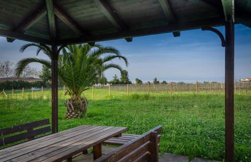 Agriturismo Agrimare Barba - Foto 53