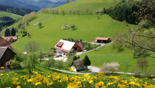 Unterer Gurethshof - Foto 3