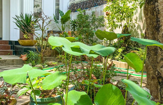 Homestay Co Gai Viet - Foto 38