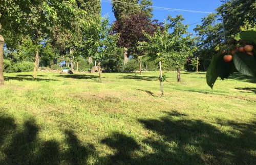 La Fabbrichina Il luogo della pace - Foto 41