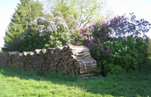 Ferienwohnung Bergschäferei - Foto 7