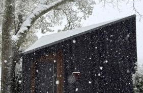 The Squirrel - Foto 12