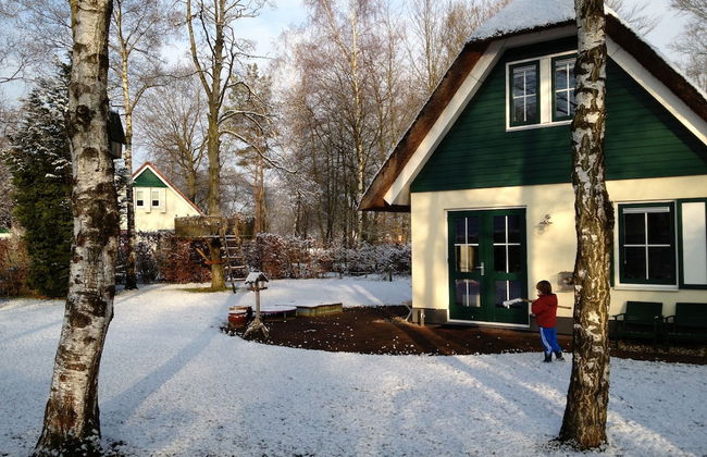 Holiday Home in Heeten Near Forest - Foto 30